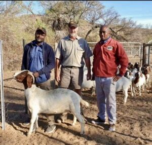 Patriot Boer Goat export to Terence Muripo, Zimbabwe